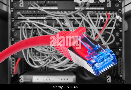Red network STP-FTP cable. RJ-45 connector detail. Structured cabling. Power cables plugged in patch panels. Black rack. Digital data transmission. PC. Stock Photo