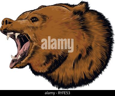 Hand drawn sketch of bear in color isolated on white background. Detailed drawing, for posters, decoration and print. Vector illustration Stock Vector