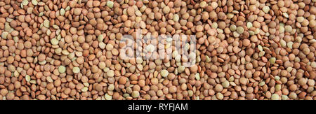 Lentils uncooked. Brown dry lentils full background, banner, top view Stock Photo