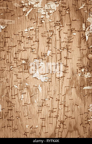Close-up of a cork stuck on the wall that is full of leftover advertisements and the staples that held the notices. Brown texture Stock Photo