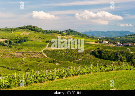 Cultivated hills in Oltrepo' Pavese (Lombardy, Italy) Stock Photo
