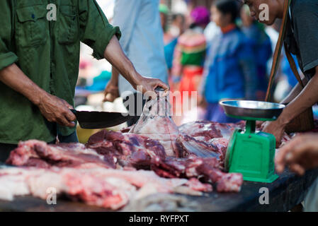 Vietnamese butcher with a piece of pig meat. Meatman cutting pig snout in a food market in Sapa, Lao Cai, Vietnam Stock Photo