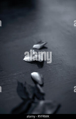 Close up of rose petals and laves on black colored wooden surface. Stock Photo