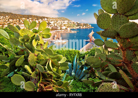 City of Nice colorful waterfront and yachting harbor view through mediterranean cactus and agave, French riviera, Alpes Maritimes department of France Stock Photo