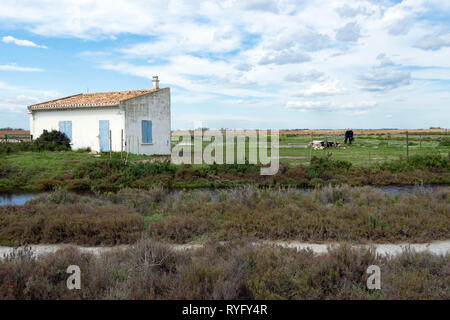 Saintes-Maries-de-la-Mer (south of France): landscape of the Camargue region. Typical small houses Stock Photo