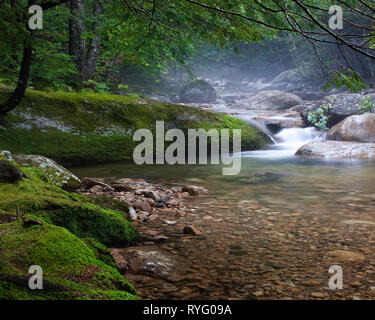 Beautiful misty morning stream image from Georgia with invigorating colors and movement. Mossy rocks add to the calming effects of the scene. Stock Photo