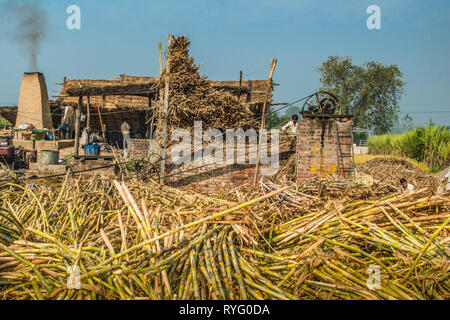 HIMACHAL PRADESH, INDIA.  traditional cane sugar plant in rural India Stock Photo