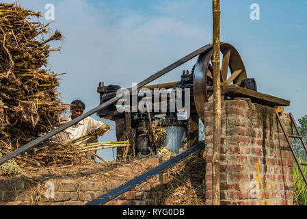 HIMACHAL PRADESH, INDIA,Worker operating a squeezing machine for sugar cane in rural India Stock Photo