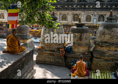 INDIA, BODH GAYA, Monks praying in front of the holy bodhi tree were ...