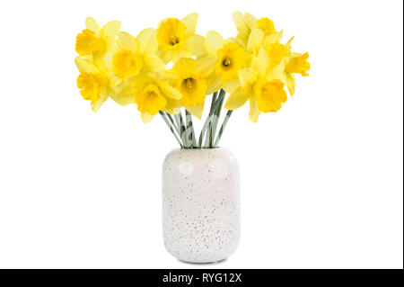 bouquet of yellow Daffodils isolated on white background Stock Photo