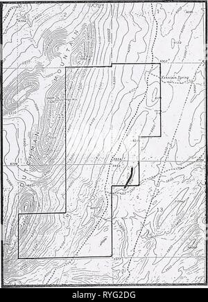 Survey for sensitive plant species on Dutchman Mountain, Beaverhead County,   dutchmansensiti00vandrich Year: 1994    Stanleya viridiflora USGS Argenta Quad, 7.5' Stock Photo