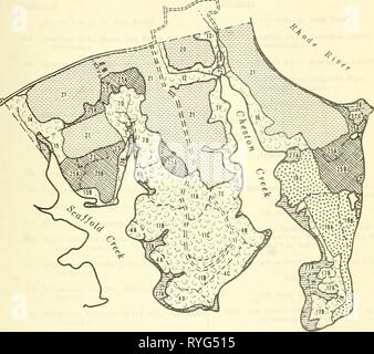 An ecologically annotated checklist of the vascular flora at the Chesapeake Bay Center for Field Biology, with keys  ecologicallyanno00smit Year: 1968  VEGETATION TYPES AT IVY NECK    Primary Classification (numbers refer to specific types) Abandoned Fields Hard woods vVt««] Conifers Cultivated Fields Marsh Pond Stock Photo