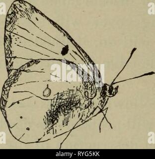 Elementary lessons in zoölogy : a guide in studying animal life and structure in field and laboratory  elementarylesso00need Year: 1896  36 INSECTS. the haunts of each animal, of its animal associates, of its food, of its shelter, of its natural enemies, of its home, — in short, of the life it leads. Such study will lead to important general truths relating to all animal life, includ- ing that of man, and is best begun in the field. 5. Remember that fear is inherent in most animals, and that flashy colors, loud noises, and quick and careless move- ments will frighten them, and cause the loss o Stock Photo