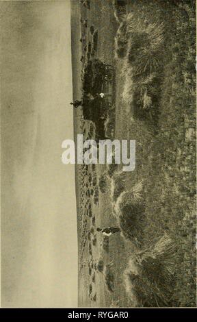 Dry-farming: its principles and practice  dryfarmingitspri00macd Year: 1909 Stock Photo