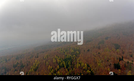 Misty forests and trees on grassy fields in the Alpine mountains of Switzerland. Stock Photo