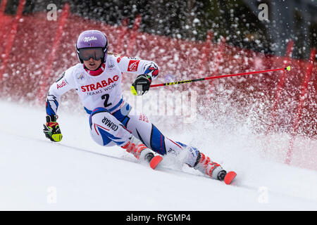 French Tessa Worley competes in the Alpine Skiing World Cup event (women's giant slalom) in Spindleruv Mlyn, Czech Republic, March 9, 2019. (CTK Photo Stock Photo