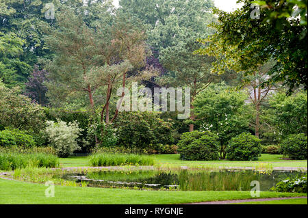 Pond by trees on grounds Stock Photo