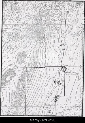 Survey for sensitive plant species on Dutchman Mountain, Beaverhead County,   dutchmansensiti00vandrich Year: 1994    Delphinium bicolor ssp. novum USGS Argenta Quad, 7.5' Stock Photo