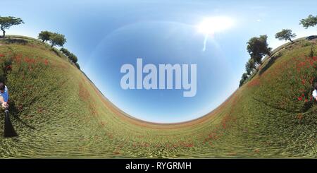 360 degree panoramic view of 360 photo of a poppy field