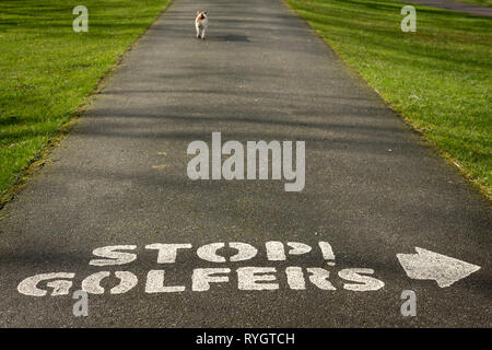 Lone dog walking on asphalt alley at Killarney Golf and Fishing Club, Fossa with text Stop golfers as warning in Killarney National Park, Ireland