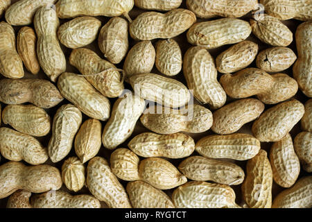 Monkey Nuts, Peanuts in their Shells Stock Photo