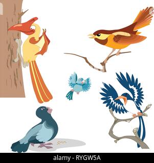 The illustration shows a variety of beautiful cartoon birds. Performed on separate layers. Stock Vector