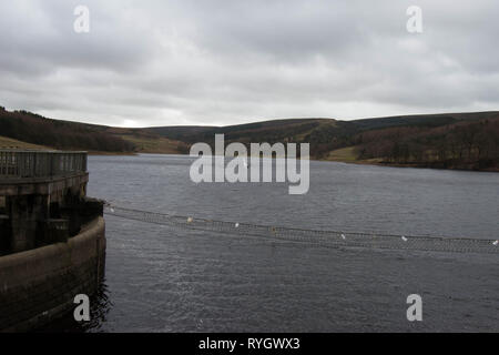 Fernilee reservoir Goyt Valley Stock Photo