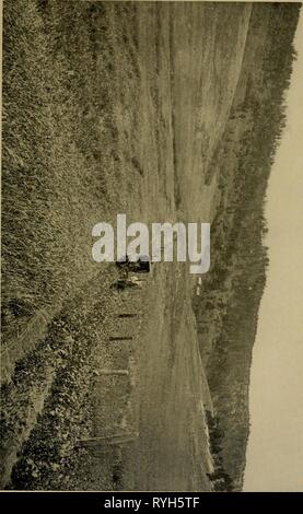 Dry-farming: its principles and practice  dryfarmingitspri00macd Year: 1909 Stock Photo