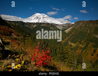 Fall color in Stevens Canyon red car on highway Mount Rainier National ...