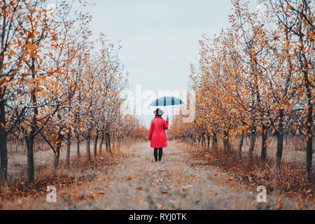 Woman in red coat and with umbrella between trees in apple garden at autumn season. Minimalism, travel, nature concept. Stock Photo