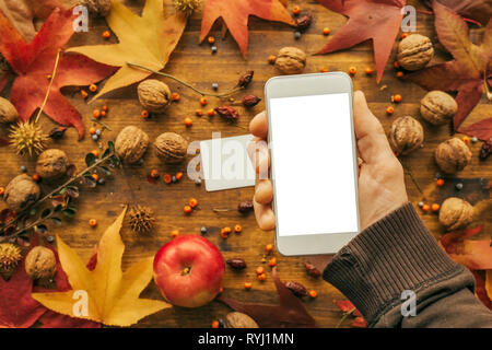 Mock up smartphone with blank screen in male hand with autumn decoration Stock Photo