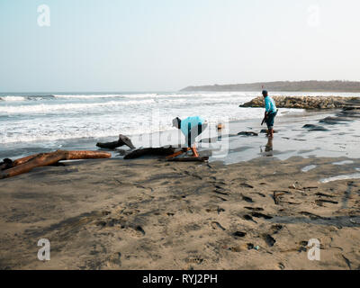 two men working barefoot on the beach collecting logs near Cartagena Colombia Stock Photo