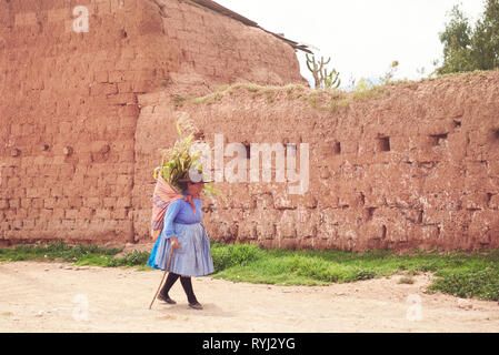 Cuzco, Peru - April 21, 2017: Woman carrying sugar cane in Peru street on sunny day Stock Photo