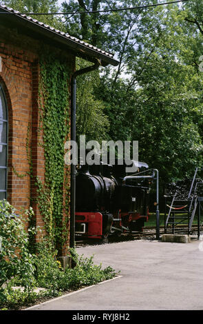 transport / transportation, railroad, narrow-gauge steam locomotive in front of engine shed in the German museum of steam locomotive in Neuenmarkt - Wirsberg, Additional-Rights-Clearance-Info-Not-Available Stock Photo