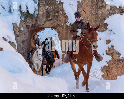 Mules & wranglers pass through one of the arch tunnels on the Bright Angel Trail. Grand Canyon National Park, Arizona. Stock Photo