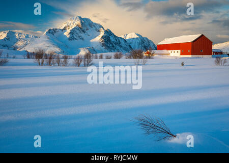 Lofoten is an archipelago and a traditional district in the county of Nordland, Norway. Stock Photo