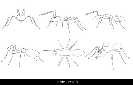 Set with contours of ants in different points of view. Vector illustration Stock Vector