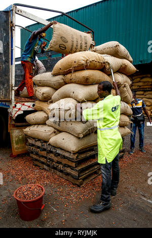 Sacks Sampling Worker sampling sacks of cocoa unloaded at abidjan port Stock Photo - Alamy
