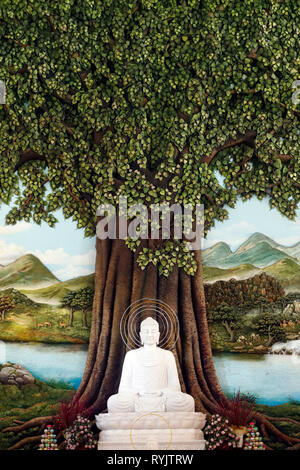 Arbre de la bodhi hi-res stock photography and images - Alamy