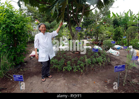 Vietnamese traditional medicine clinic.   Medicinal plants for chinese .  Cu Chi. Vietnam. Stock Photo