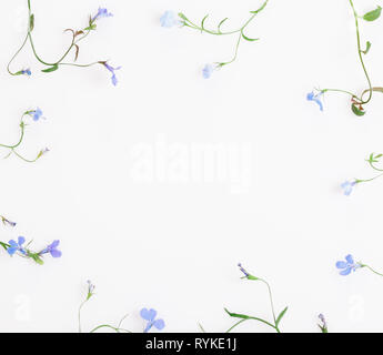 Festive flower composition on the white background. Overhead view Stock Photo