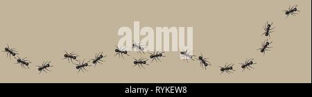 A line of worker ants marching in search of food. Vector banner Stock Vector