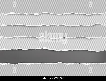 Torn squared grey horizontal paper strips with space for text. Vector illustration background Stock Vector