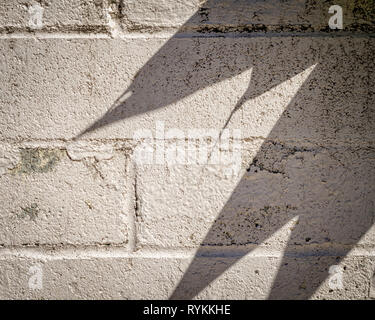 Close-up of cinder block wall with leaf shadows on surface. Stock Photo