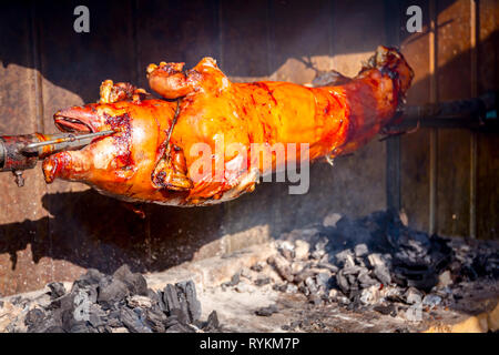 Pig is being grilled slowly on spit in traditional way, cooked with charcoal, fatty roasted meat Stock Photo