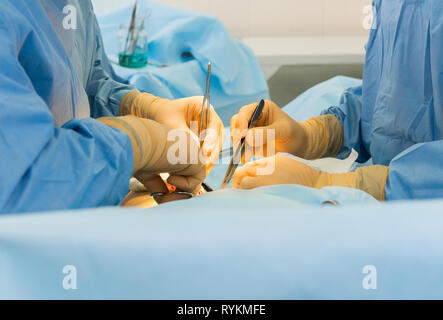 Surgeons' hands Stock Photo