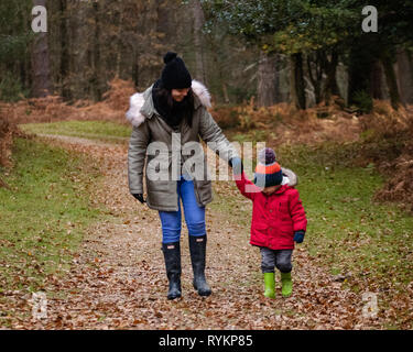 Mother and son walking through the forest in autumn holding hands, wearing wellies Stock Photo