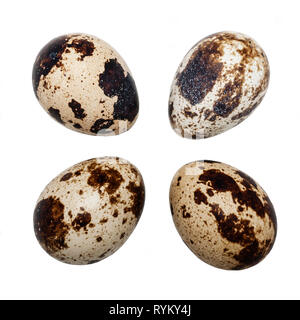 Four Quail eggs on a white background Stock Photo