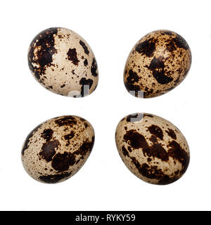 Four Quail eggs on a white background Stock Photo