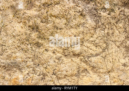 The texture of a flat stone limestone rocks as background Stock Photo